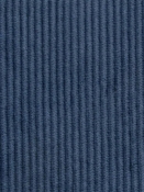 Wales Denim 412024 PK Lifestyles Fabric